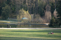 DSC_1211.jpg