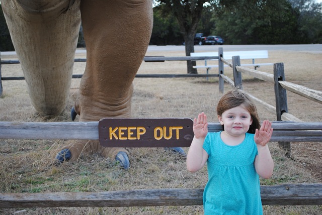 [DSC_0492[3].jpg]