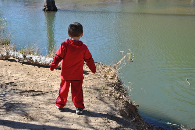 [DSC_33593.jpg]