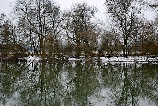 Tree reflection, Vanne, France