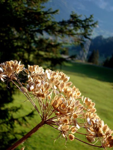 Switzerland First Hike