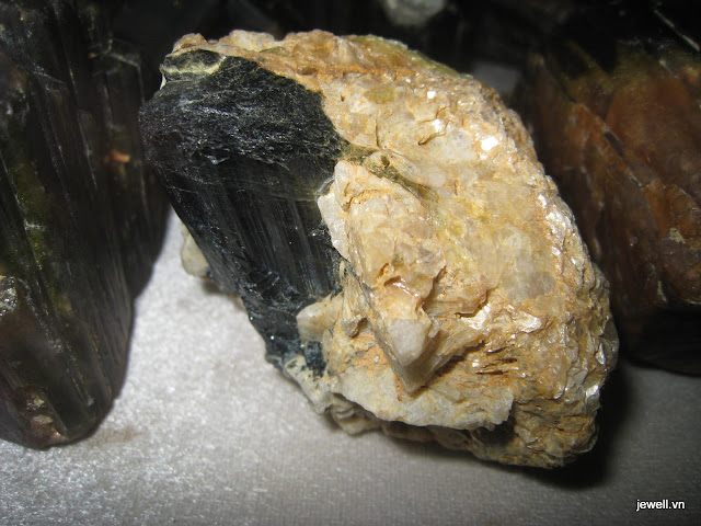 tuocmalin