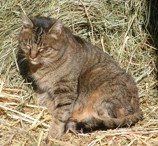 [Sophie 3-2008[3].jpg]