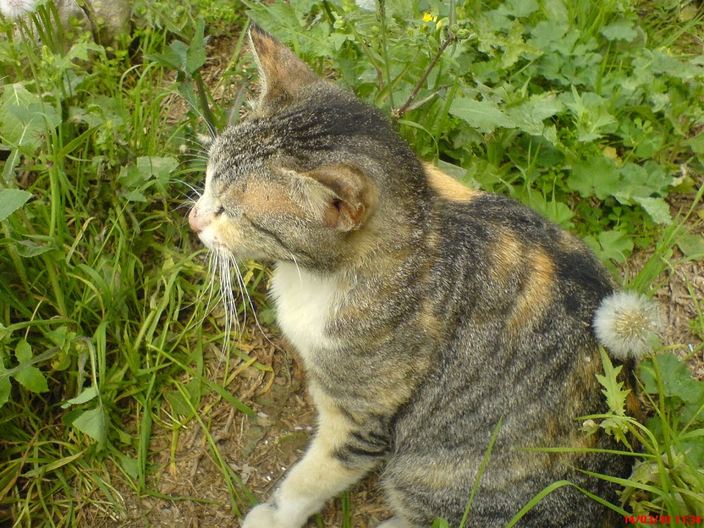 DSC00093.JPG