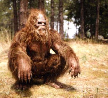[sasquatch4.jpg]