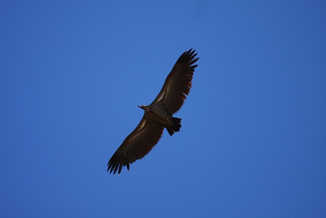 [IMG_47792.jpg]