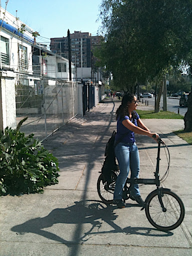 Dahon_roubada2