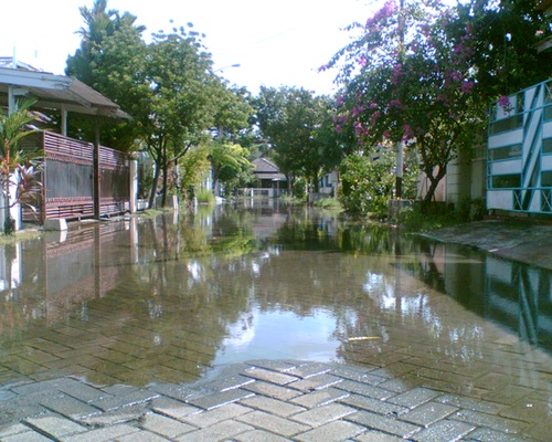 venezia van java