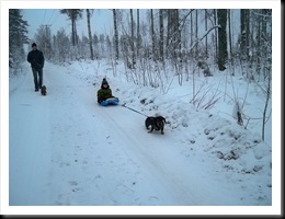 Bild 836
