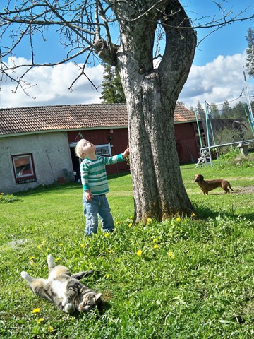 [vår -10 010[4].jpg]