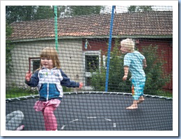 födelsedag 033
