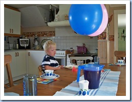 födelsedag 039