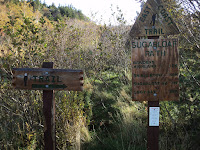 DSC02736.JPG Photo