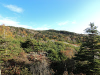 DSC02738.JPG Photo