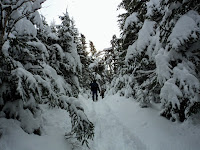 DSC03335.JPG Photo