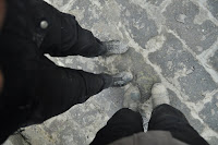 DSC_0023.JPG Photo