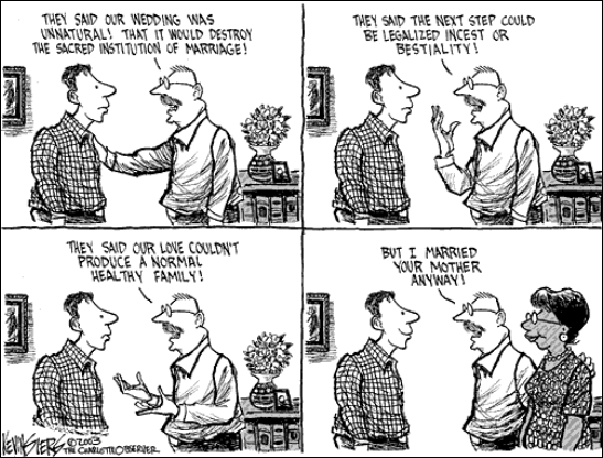gay marriage cartoon racismo