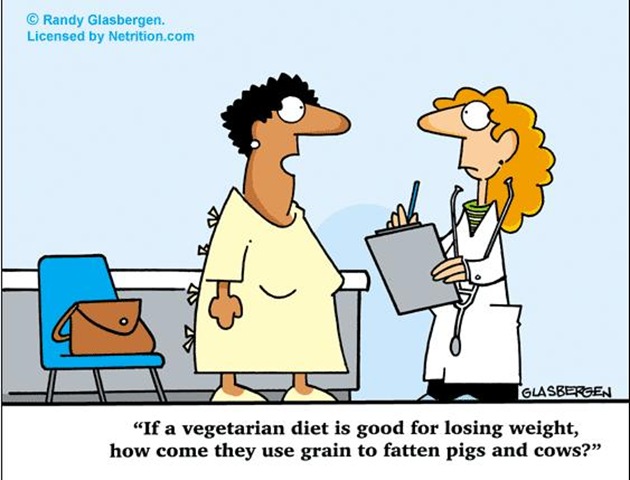 [Vegetarianismo pergunta estúpida[6].jpg]