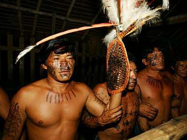 [ritual de iniciação da Tucandeira[7].jpg]