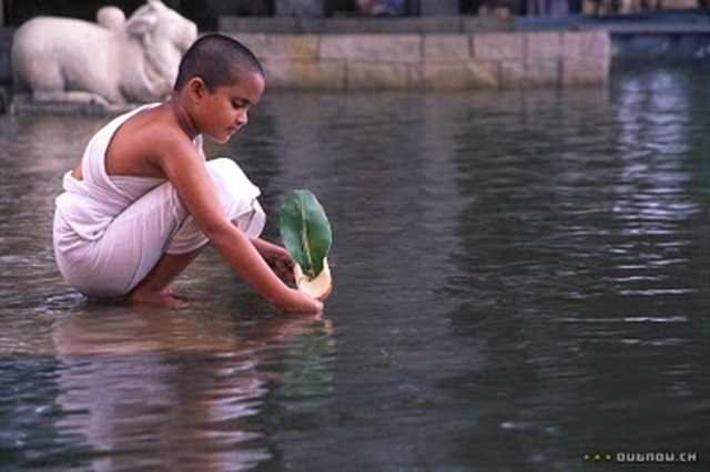 [Water água de deepa mehta[4].jpg]