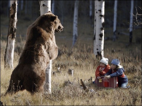 como apanhar um urso