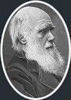 Darwin