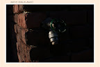 DSC00523_hf.jpg