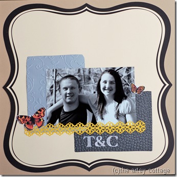 t & c