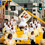 100410_daffodil-parade_110.jpg