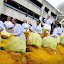 100409_L-Raisl_daffodil-parade-images_060.jpg
