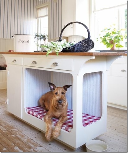 doginKitchen doginKitchen