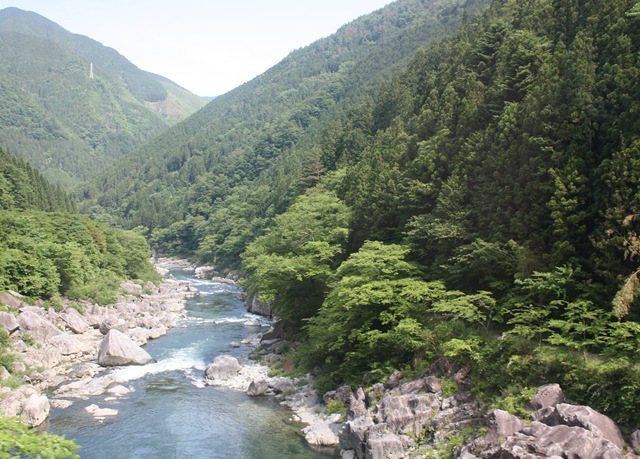 [IMG_42823.jpg]