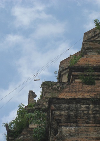 [IMG_59291.jpg]