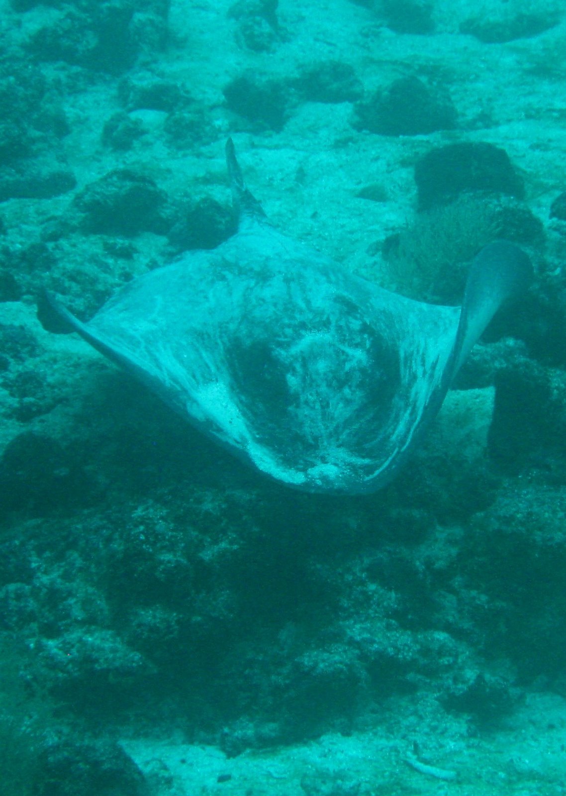 [IMG_63922.jpg]