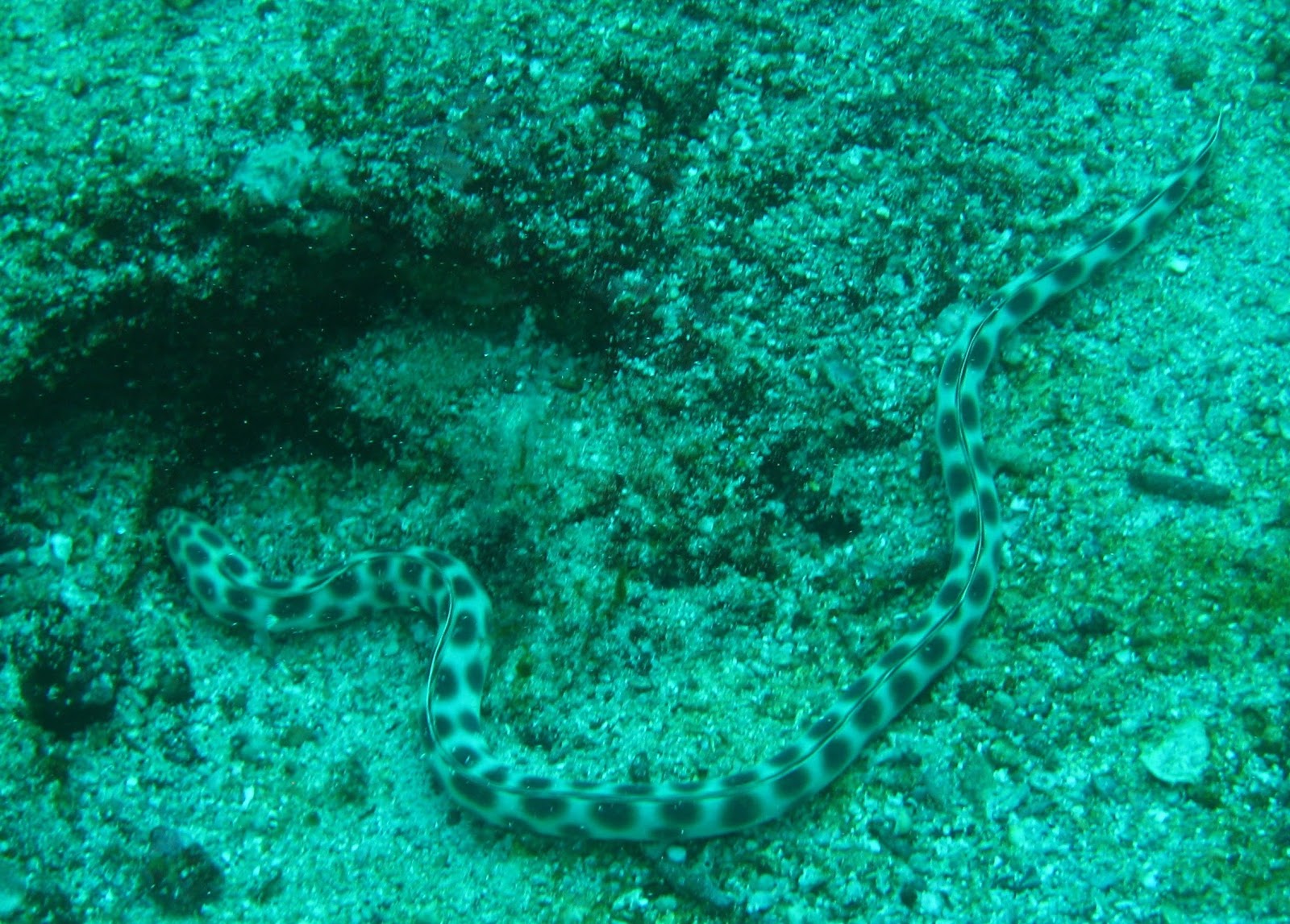 [IMG_64052.jpg]