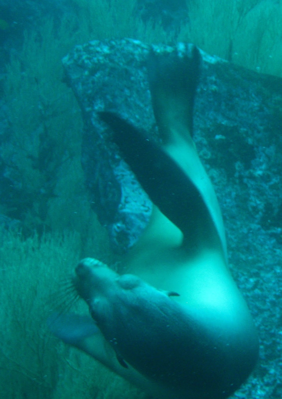 [IMG_64342.jpg]