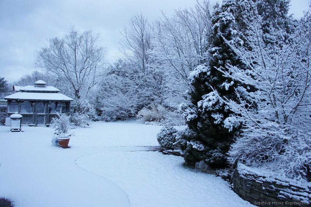 [DSC00958_0643[8].jpg]