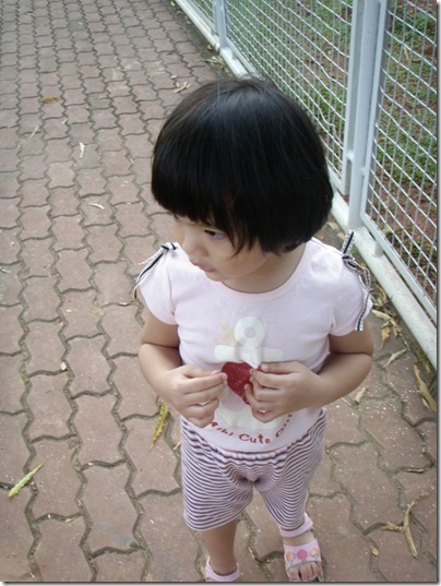 PB085455