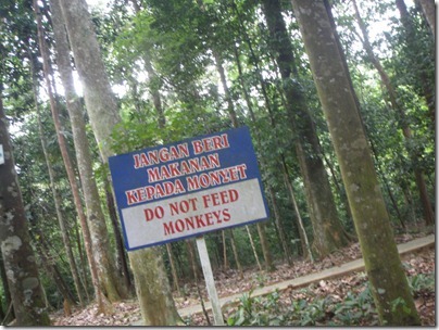 Do Not Feed Monkeys