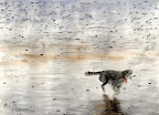 watercolor illustration, Dog on Beach, published in Veterinary Medicine