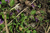 DSCF3546.jpg