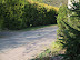 DSCF3437.jpg