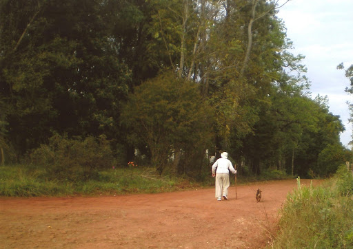 El transcurrir de los años (fotos tomada en línea Paraná) - Autor: Corach, Gladis Mabel
