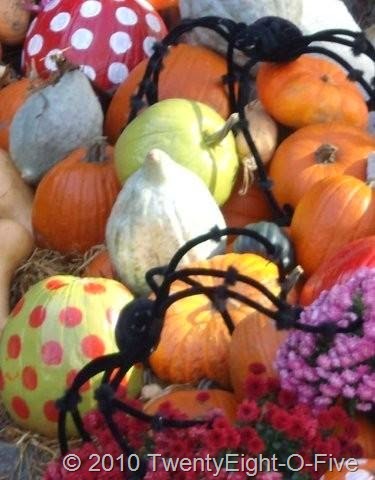 [New England, Canada 10-10 374 (2).jpg]