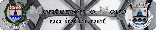 Montemor-o-Novo na internet