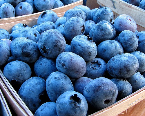 [blueberries[5].jpg]