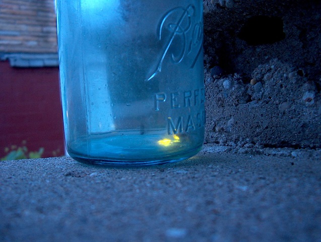 [fireflies[3].jpg]