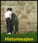 Nina Ringboms historiesajt