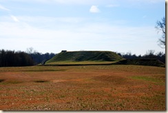 Temple Mound 1