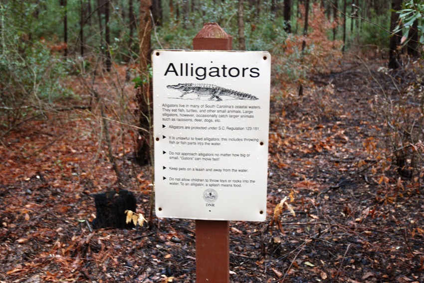 [Alligator Sign[2].jpg]